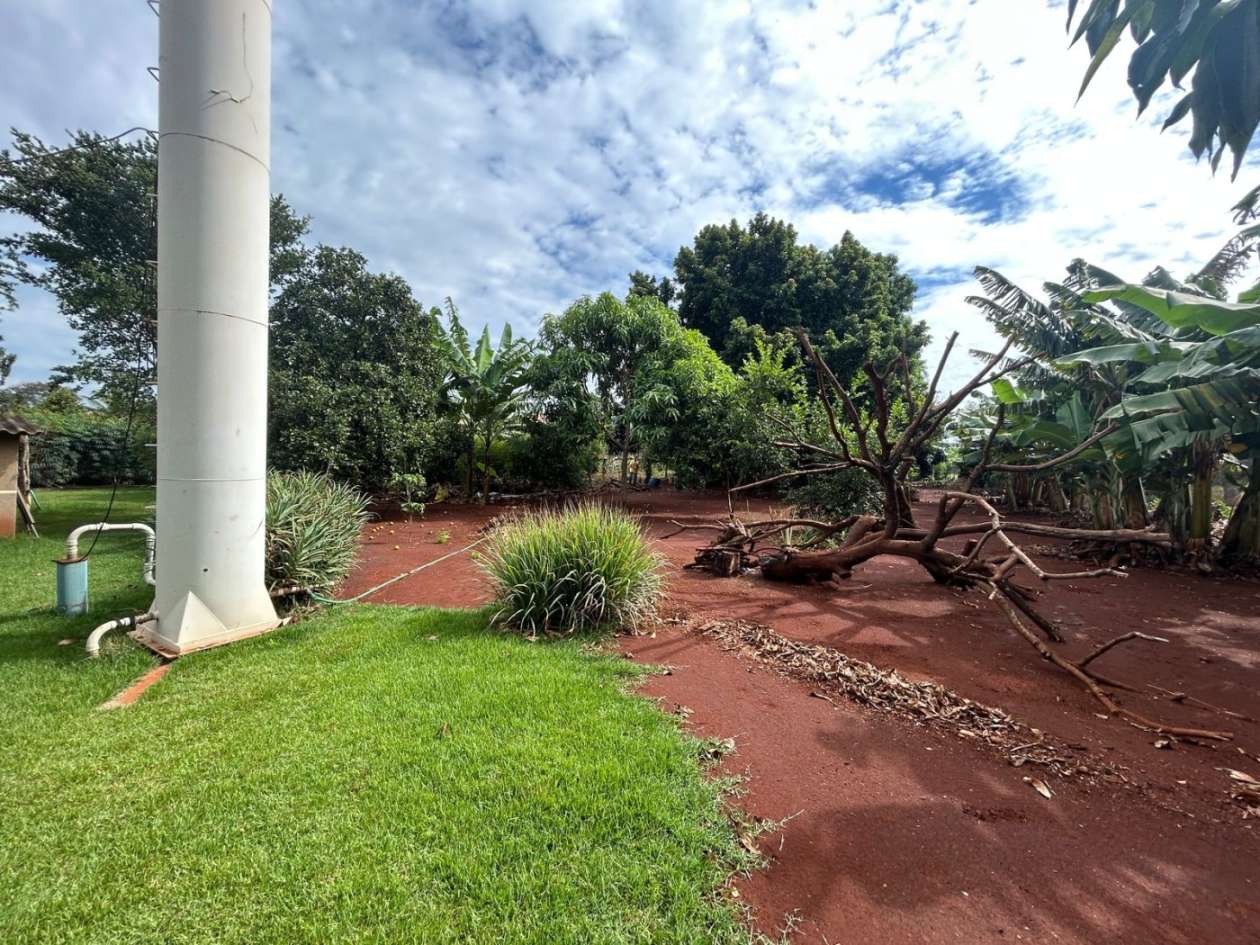 Chácara, 1 hectares - Foto 8