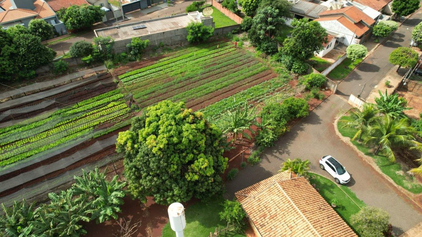 Chácara, 1 hectares - Foto 10
